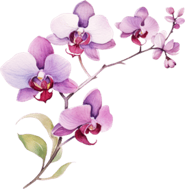 Orchid flowers for company branding and mission statement